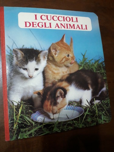 Libri cartonati vintage - n., 2